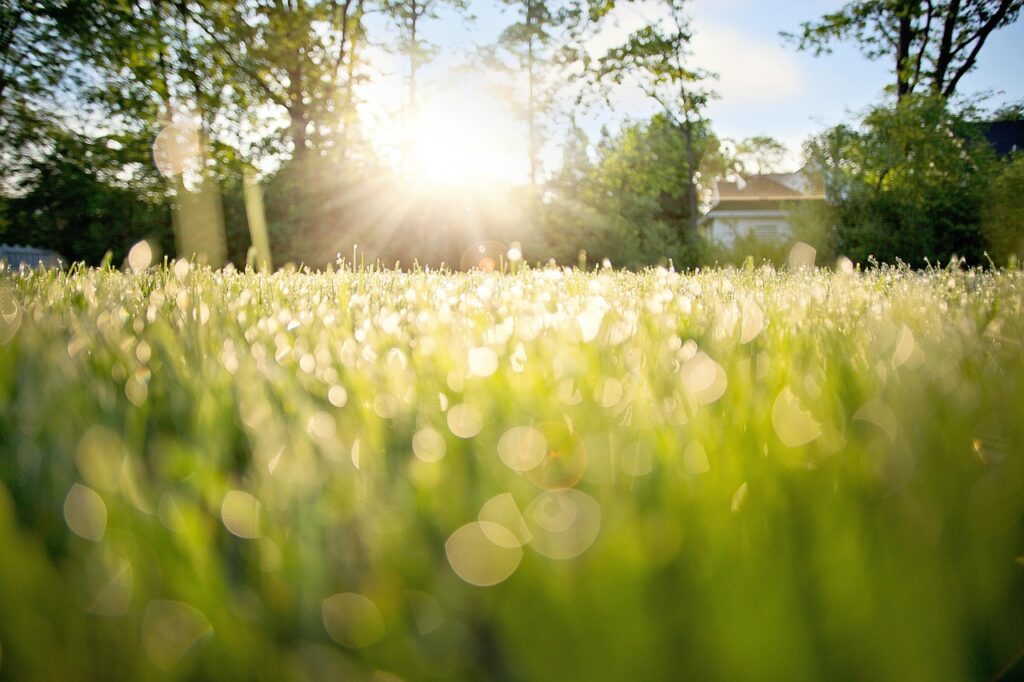 LCCの早朝便は本当に安いのか？