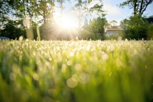 LCCの早朝便は本当に安いのか？