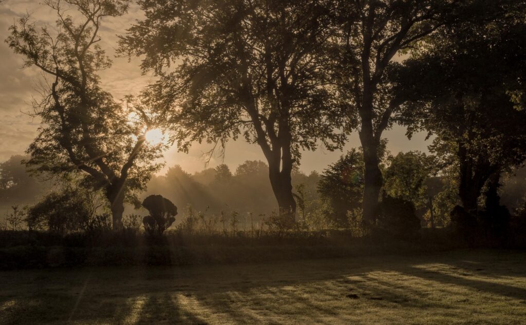 LCCの早朝便を利用して安く旅行する方法は？