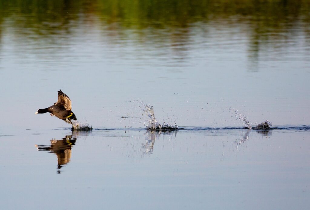 LCCを利用した格安旅のテクニックとは？