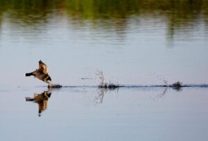 LCCを利用した格安旅のテクニックとは？