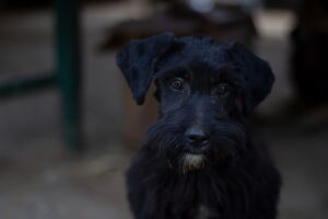 年末年始にLCCを利用した格安航空券の見つけ方は？