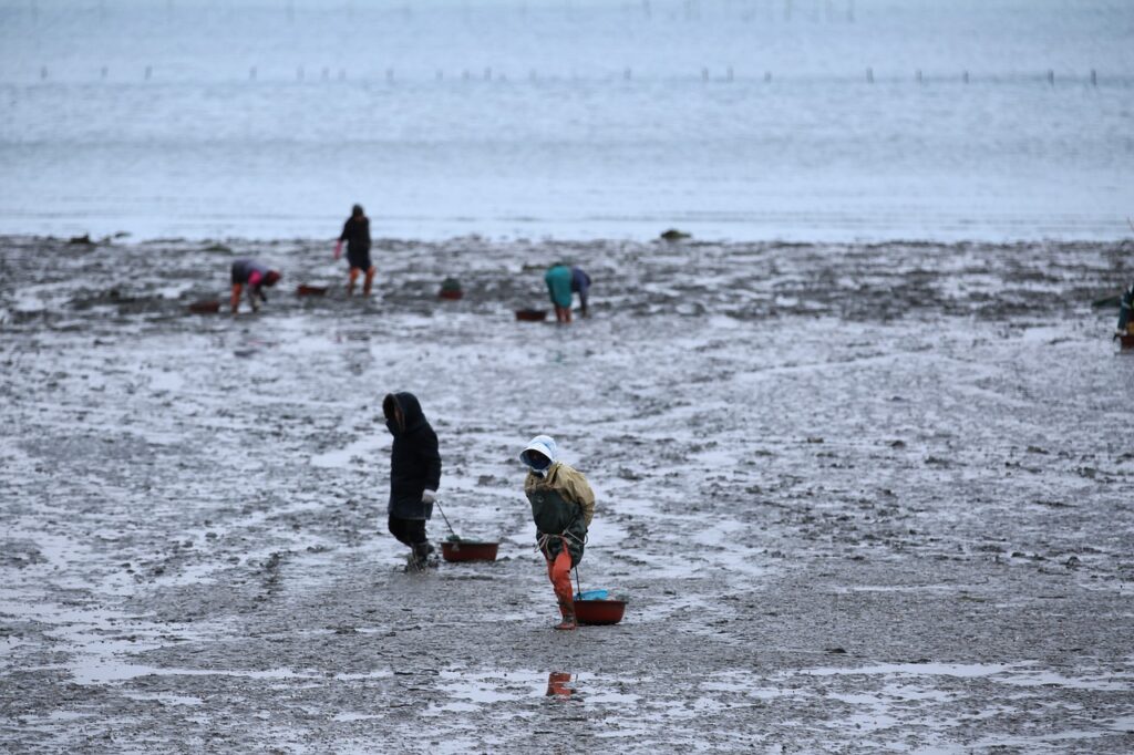 LCCの国際線を利用する際の注意点は？