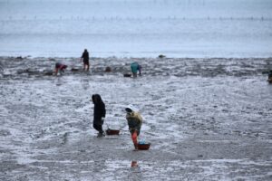 LCCの国際線を利用する際の注意点は？