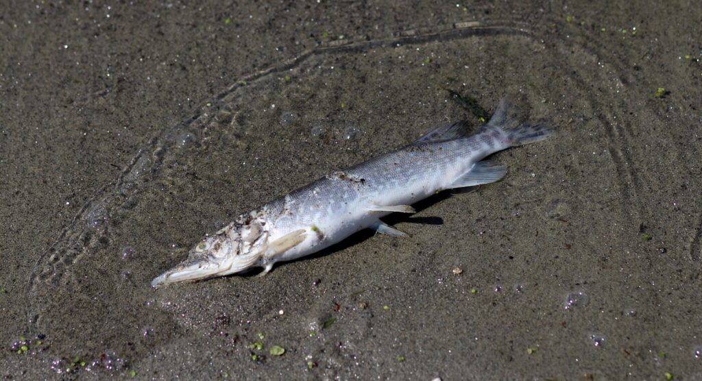 LCC国際線を利用する際の注意点とメリットは？