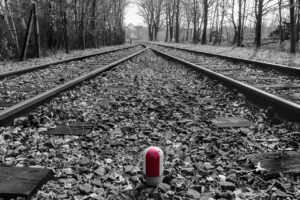 LCC路線の選び方とおすすめ旅行先は？