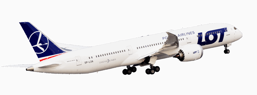 LCCおすすめランキングでコストパフォーマンスの高い航空会社は？