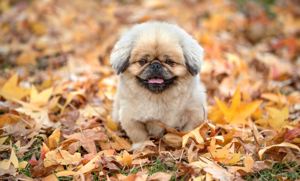 LCCを利用するならどこがいい？