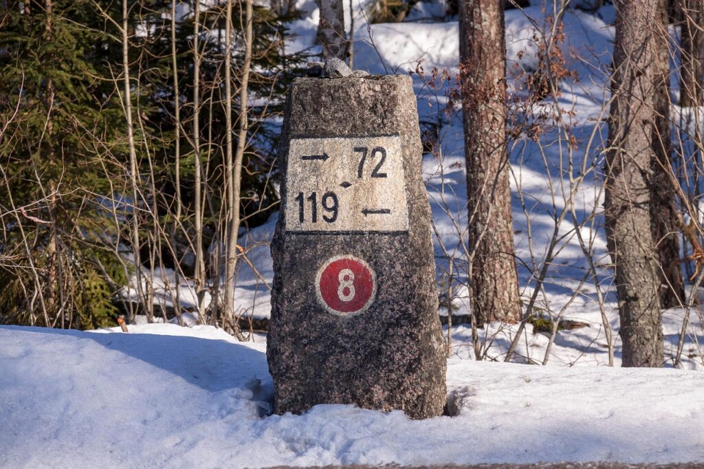 jalマイレージを効率よく貯めるための方法は？