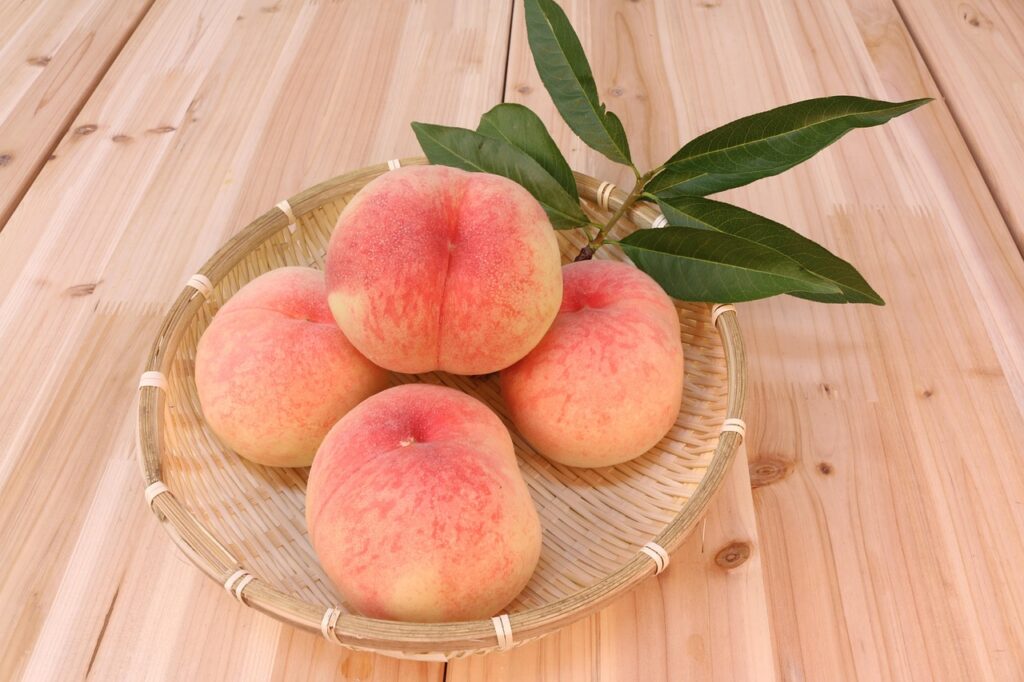 peachのジェットスターを利用した快適な空の旅とは？