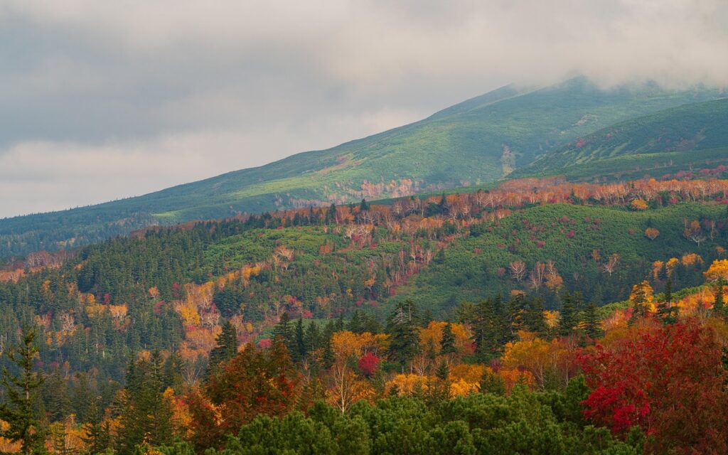 北海道へのLCC利用でお得に旅行する方法は？