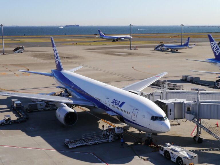 ANAとJALのどちらが安い航空券を見つける方法は？
