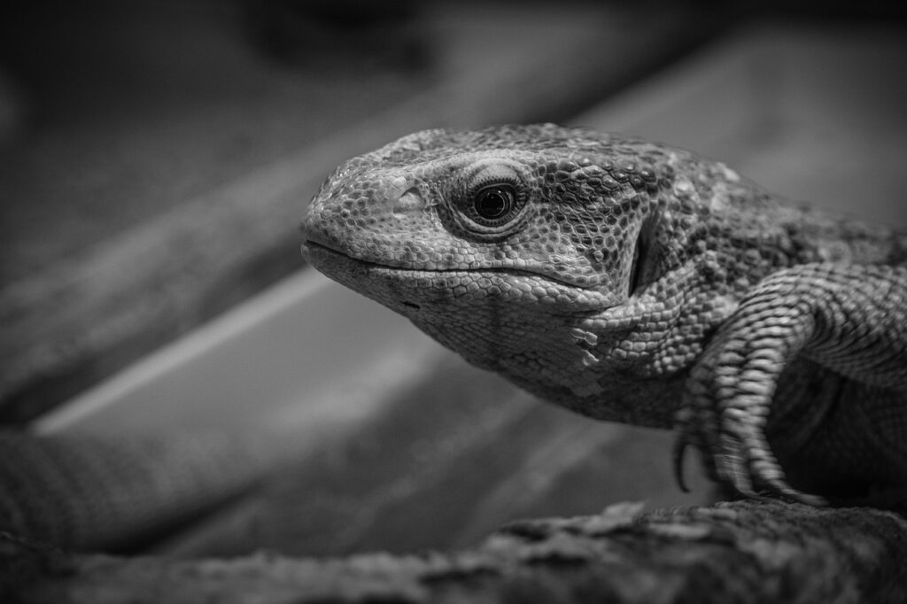 LCC利用時に知っておくべき注意点は？