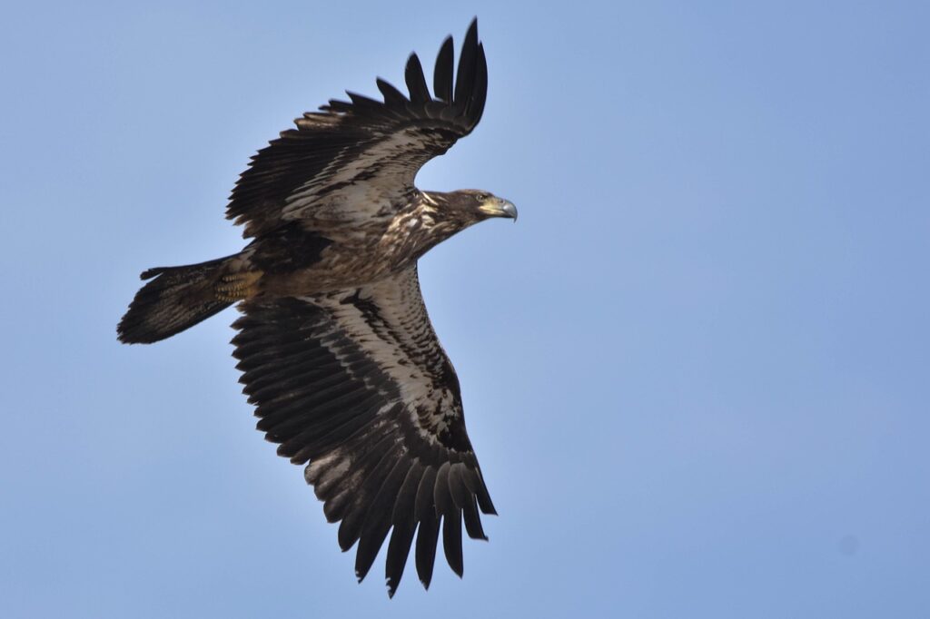 zipairの機内持ち込み禁止アイテムは何ですか？