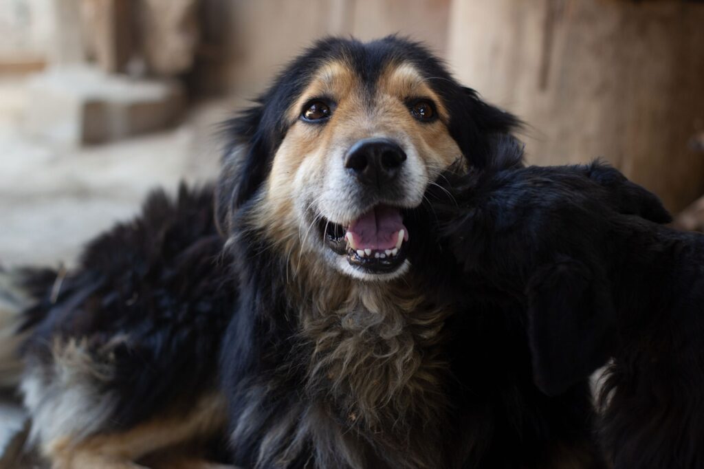 ピーチの年末年始セールでお得に旅行する方法は？