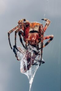 LCCの表示価格の罠を避けるための総額比較のポイントは？