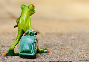 LCCを利用した旅行の目的地はどこがおすすめ？