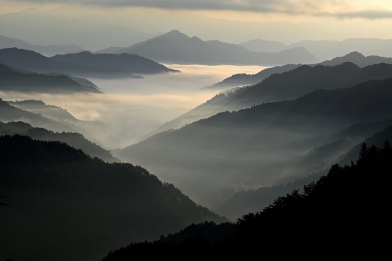 LCC旅行の準備は何をすればいい？